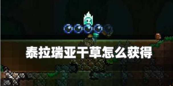 泰拉瑞亚干草怎么获得-干草获得方法及作用效果分享