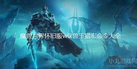 魔兽世界兽王猎常用宏有哪些-wlk兽王猎宏命令大全