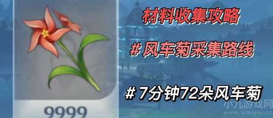 原神风车菊哪里最多-风车菊分布图及最佳采集路线