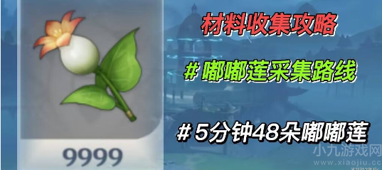 原神嘟嘟莲怎么快速获得-嘟嘟莲最佳采集路线图分享
