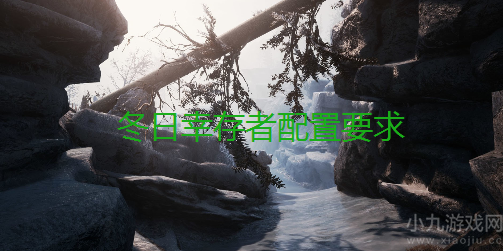 冬日幸存者配置要求高吗-PC版最低配置要求一览