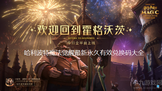 哈利波特魔法觉醒最新兑换码大全-永久有效兑换码汇总