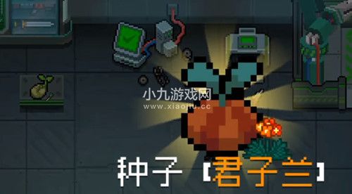 元气骑士君子兰怎么获得-元气骑士迷迭岛君子兰获取方法