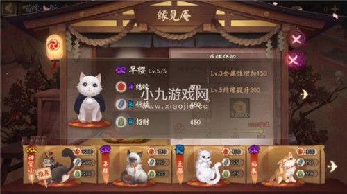 阴阳师喵缘小街猫咪怎么选-阴阳师喵缘小街玩法攻略